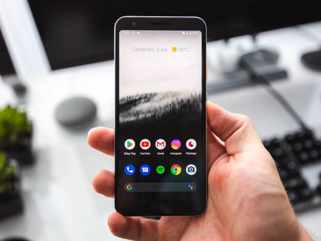 hand-holding-pixel-phone