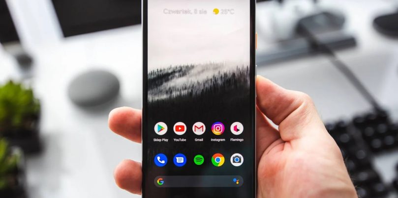 hand-holding-pixel-phone